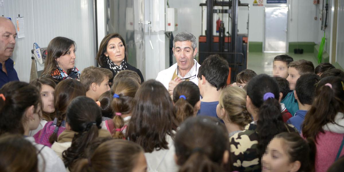 Taller Romerijo OEM.