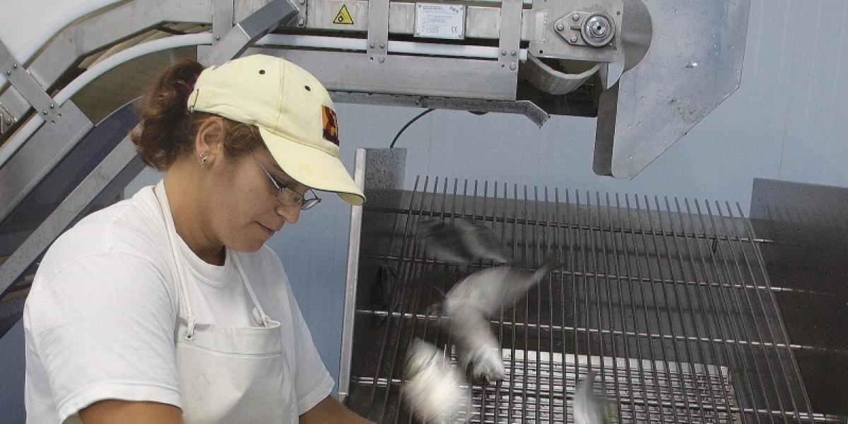 Nuevas tecnologías para transformación de productos