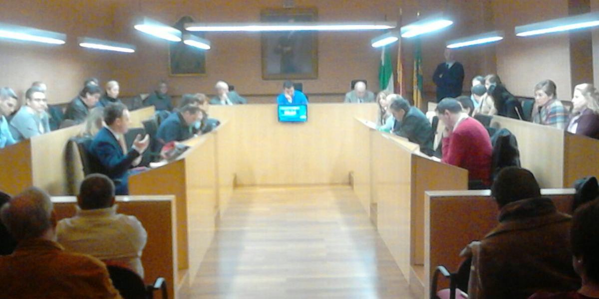 Pleno Ordinario de febrero de 2015