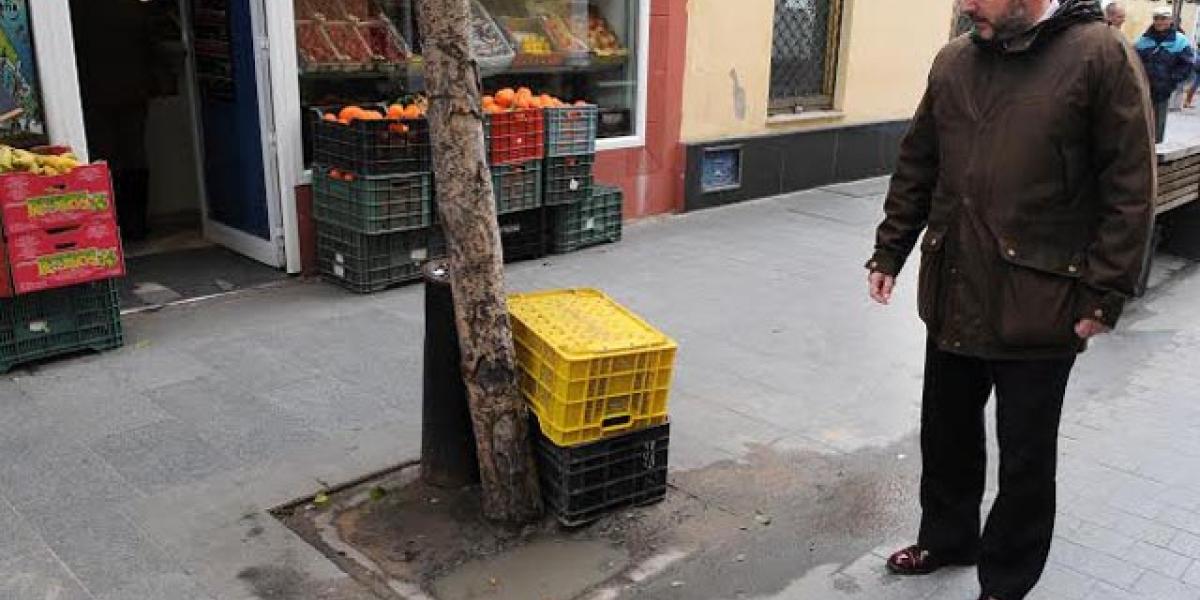 Alfonso Candón revisa los alcorques de la calle Vicario.