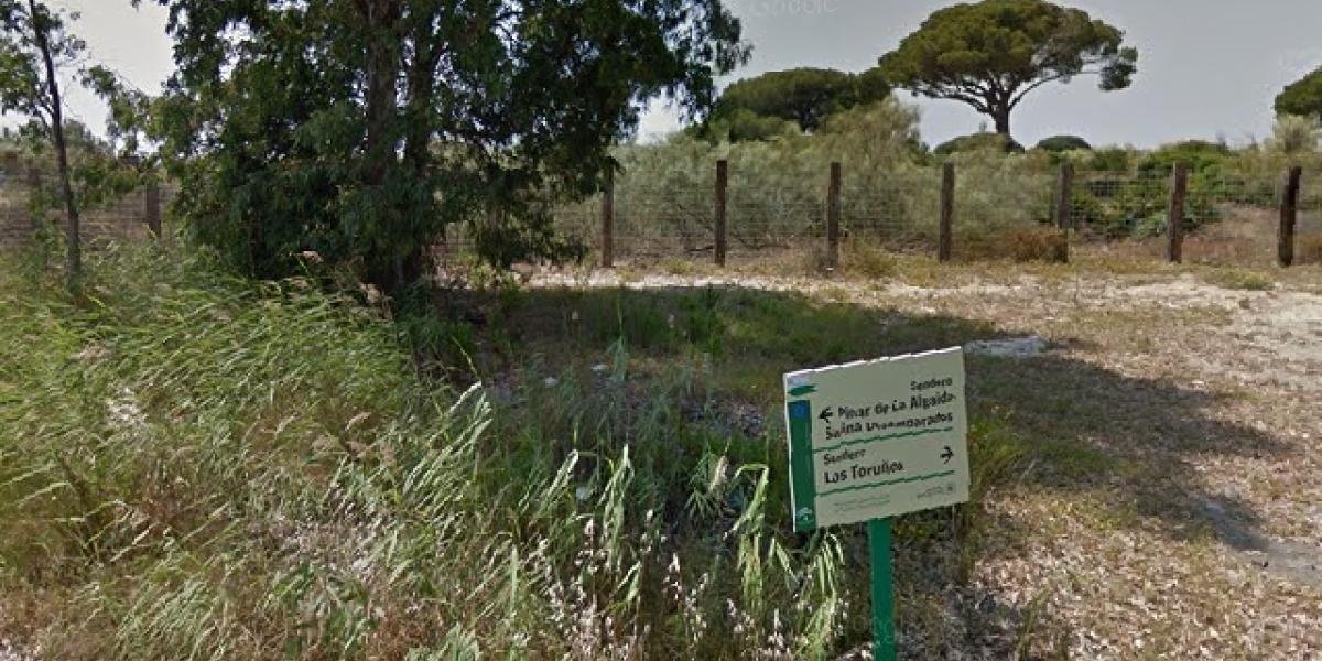 Una imagen del exterior del Parque Metropolitano Marisma de los Toruños y Pinar de la Algaida.