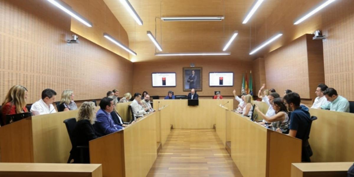 Un instante del Pleno de Organización.