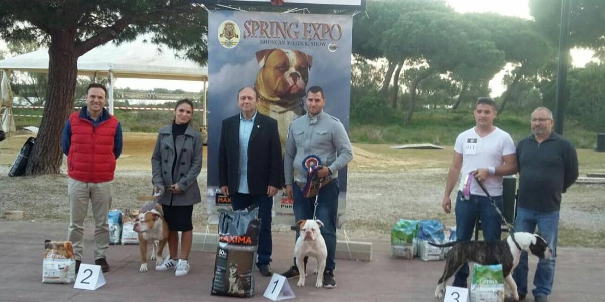 Entrega de Trofeos.