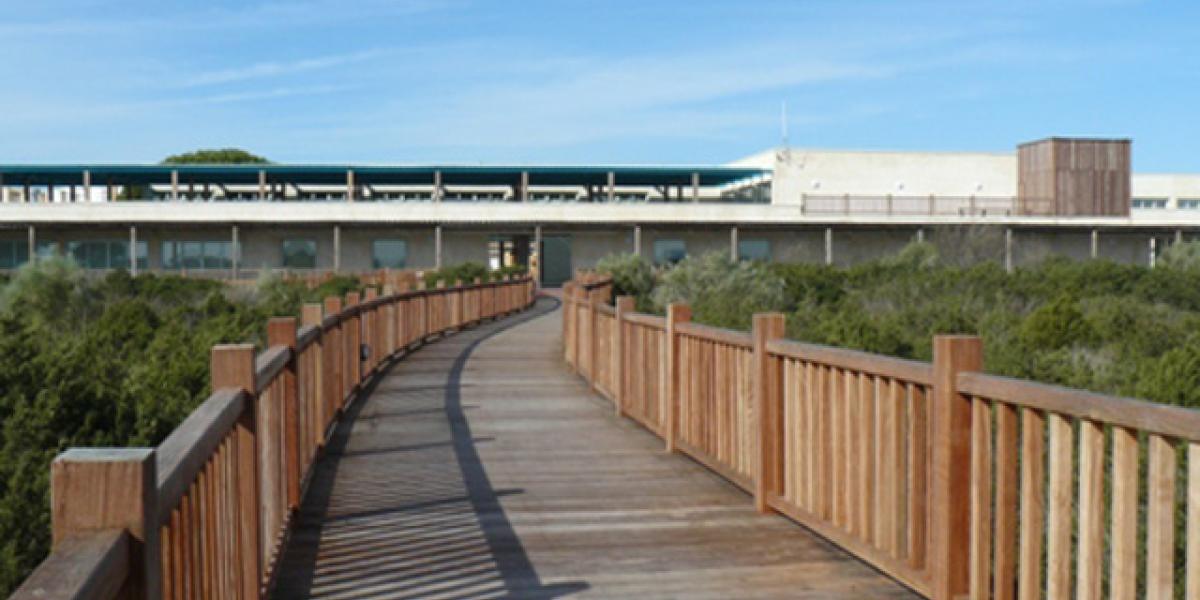 Parque de Los Toruños.