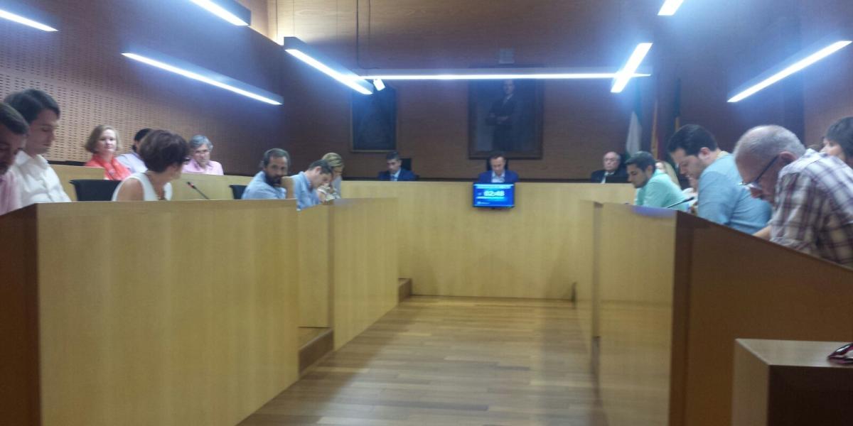 Pleno Ordinario de octubre de 2015.