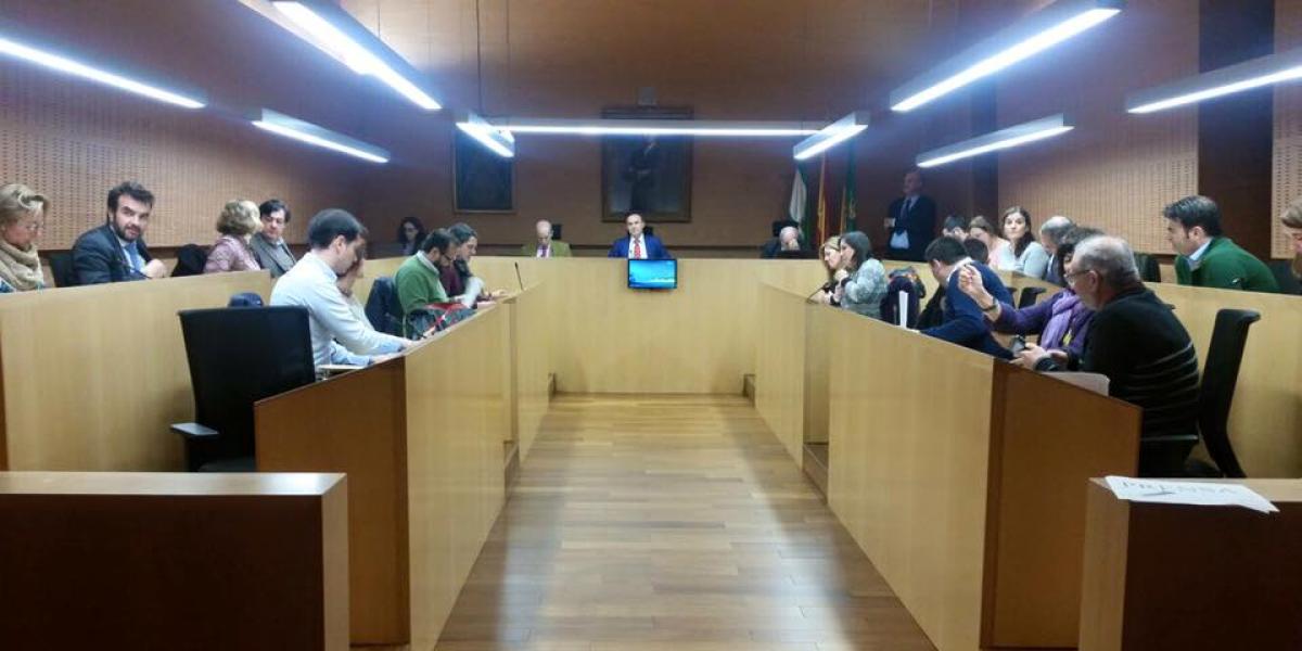 Pleno Ordinario del mes de diciembre.