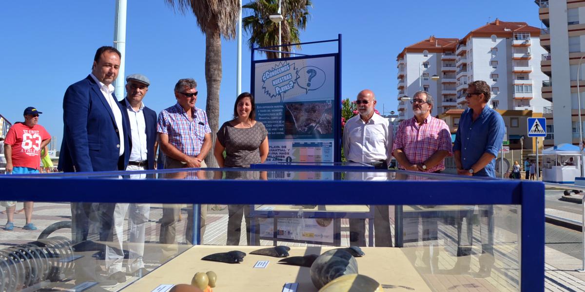 La muestra "La playa del Manantial y su fauna hace 5 millones de años" ya puede visitarse en Valdelagrana.