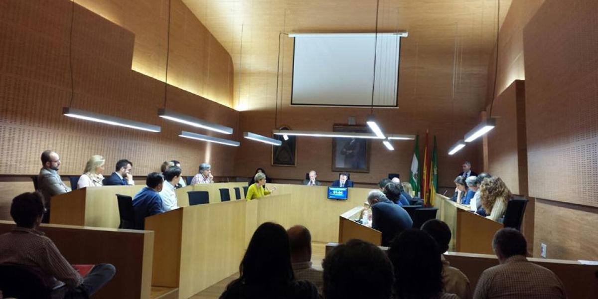 Pleno Extraordinario de noviembre.