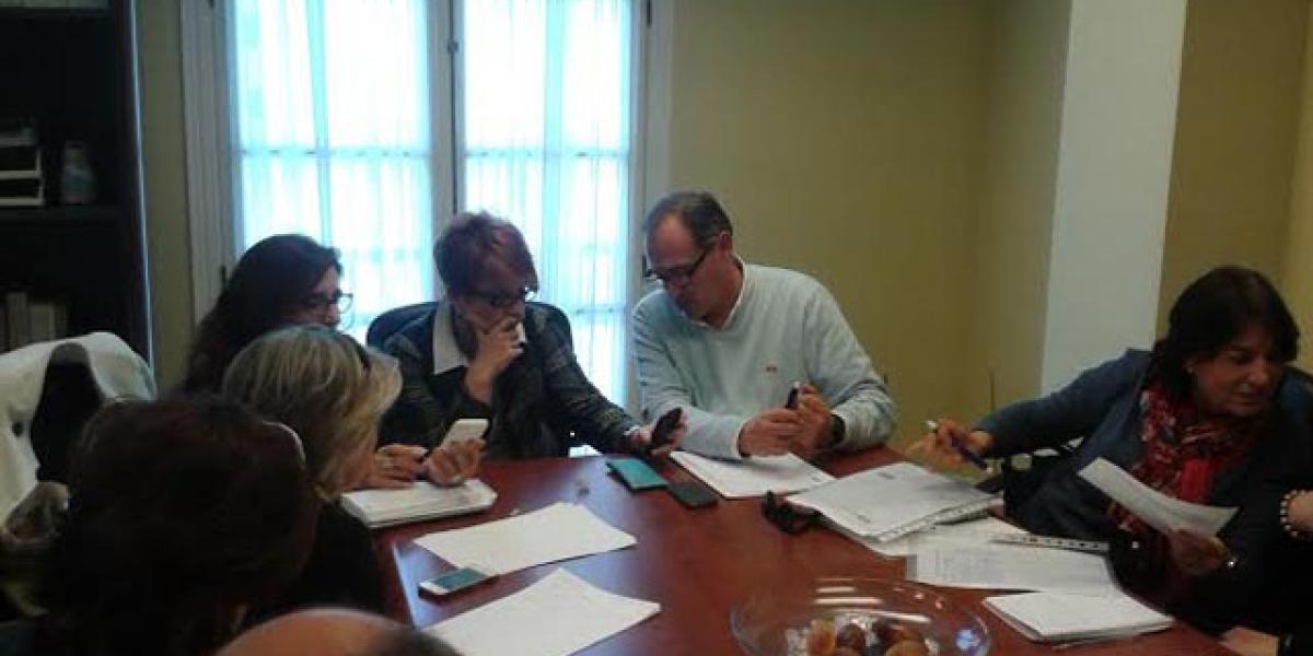 Mariola Tocino en la reunión.