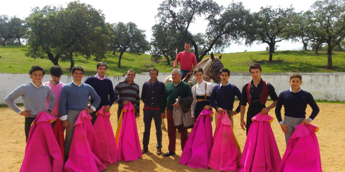 Toros.
